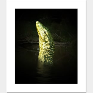 Monitor lizard Posters and Art